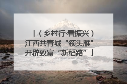 （乡村行·看振兴）江西共青城“领头雁”开辟致富“新稻路”