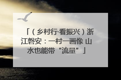 （乡村行·看振兴）浙江磐安：一村一画像 山水也能带“流量”