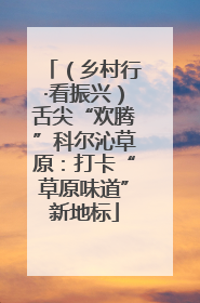 （乡村行·看振兴）舌尖“欢腾”科尔沁草原：打卡“草原味道”新地标
