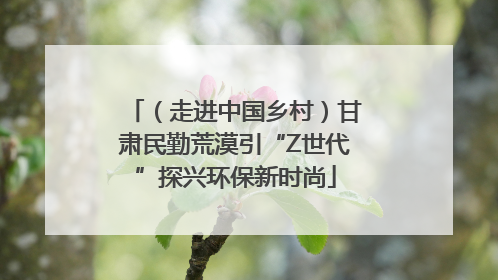 （走进中国乡村）甘肃民勤荒漠引“Z世代”探兴环保新时尚