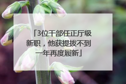 3位干部任正厅级新职，他获提拔不到一年再度履新