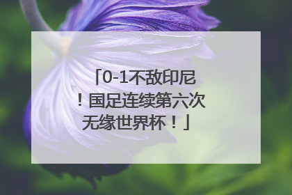 0-1不敌印尼！国足连续第六次无缘世界杯！