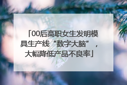 00后高职女生发明模具生产线“数字大脑”，大幅降低产品不良率
