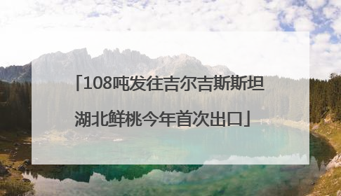 108吨发往吉尔吉斯斯坦 湖北鲜桃今年首次出口
