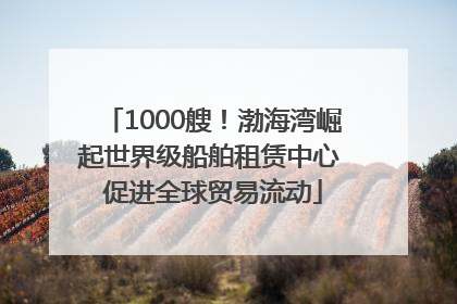 1000艘！渤海湾崛起世界级船舶租赁中心 促进全球贸易流动