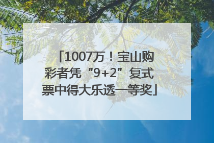 1007万！宝山购彩者凭“9+2”复式票中得大乐透一等奖
