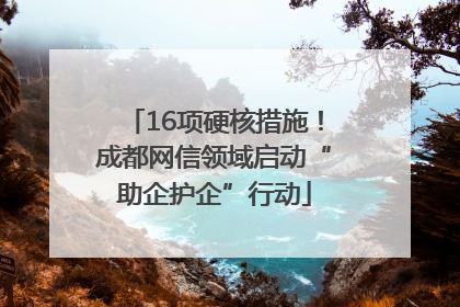 16项硬核措施！成都网信领域启动“助企护企”行动