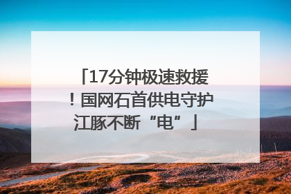 17分钟极速救援！国网石首供电守护江豚不断“电”