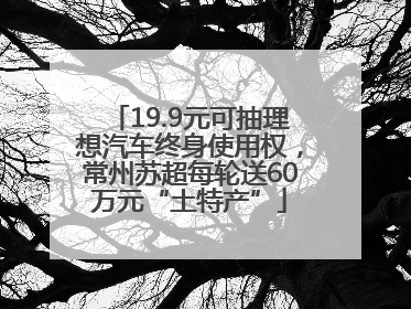 19.9元可抽理想汽车终身使用权，常州苏超每轮送60万元“土特产”