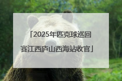 2025年匹克球巡回赛江西庐山西海站收官