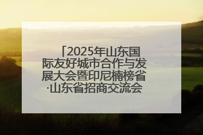 2025年山东国际友好城市合作与发展大会暨印尼楠榜省·山东省招商交流会在济南槐荫举行
