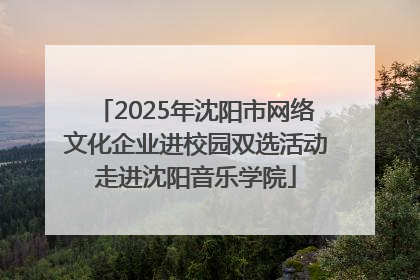 2025年沈阳市网络文化企业进校园双选活动走进沈阳音乐学院