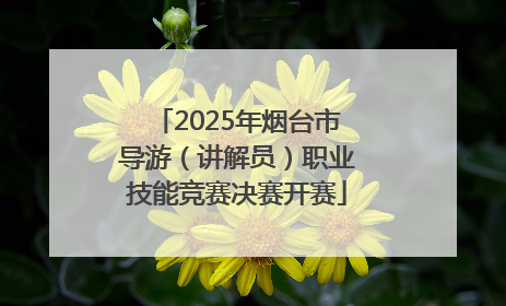 2025年烟台市导游（讲解员）职业技能竞赛决赛开赛