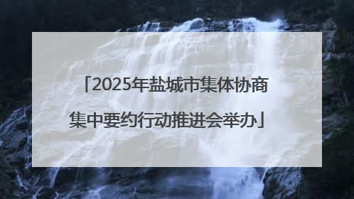 2025年盐城市集体协商集中要约行动推进会举办