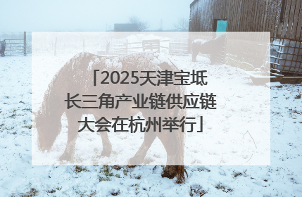 2025天津宝坻长三角产业链供应链大会在杭州举行