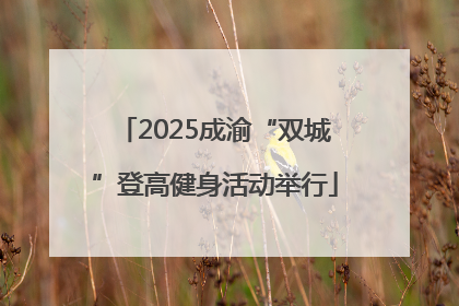 2025成渝“双城”登高健身活动举行