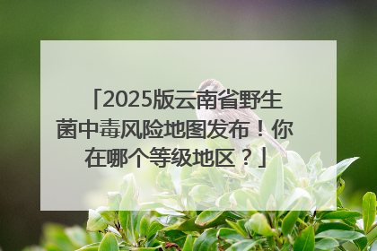 2025版云南省野生菌中毒风险地图发布！你在哪个等级地区？