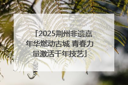 2025荆州非遗嘉年华燃动古城 青春力量激活千年技艺