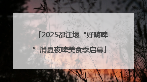 2025都江堰“好嗨啤”消夏夜啤美食季启幕