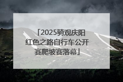 2025骑观庆阳红色之路自行车公开赛爬坡赛落幕