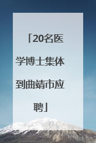 20名医学博士集体到曲靖市应聘