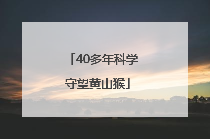 40多年科学守望黄山猴