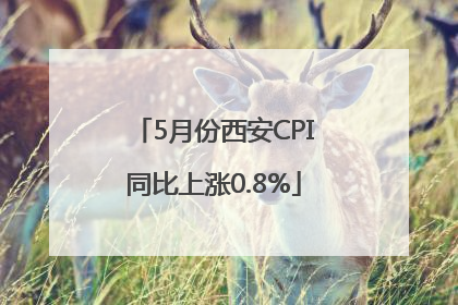5月份西安CPI同比上涨0.8%
