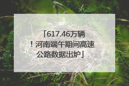 617.46万辆！河南端午期间高速公路数据出炉