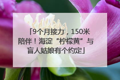 9个月接力，150米陪伴！海淀“柠檬黄”与盲人姑娘有个约定