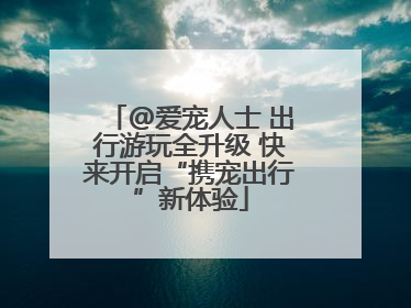 @爱宠人士 出行游玩全升级 快来开启“携宠出行”新体验
