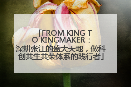 FROM KING TO KINGMAKER：深耕张江的盛大天地，做科创共生共荣体系的践行者