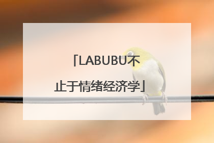 LABUBU不止于情绪经济学