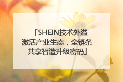 SHEIN技术外溢激活产业生态，全链条共享智造升级密码