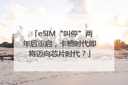 eSIM“叫停”两年后重启，卡槽时代即将迈向芯片时代？